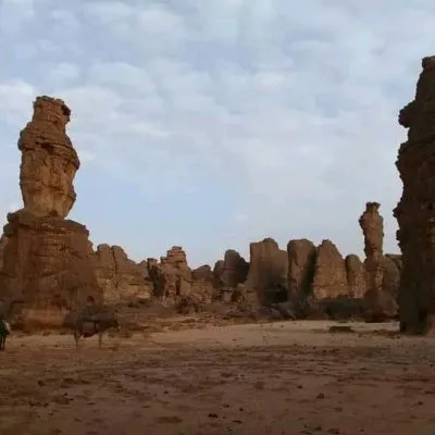 WhatsApp Image 2025-01-29 at 08.29.46