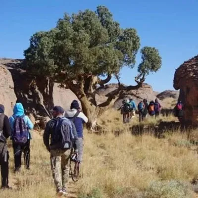 WhatsApp Image 2025-01-29 at 08.29.47 (2)