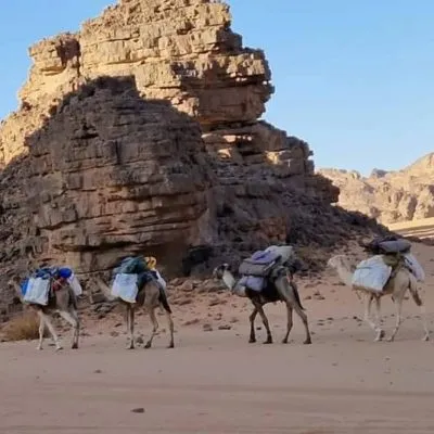 WhatsApp Image 2025-01-29 at 08.29.49 (2)