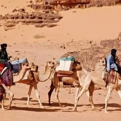 WhatsApp Image 2025-01-29 at 08.29.49