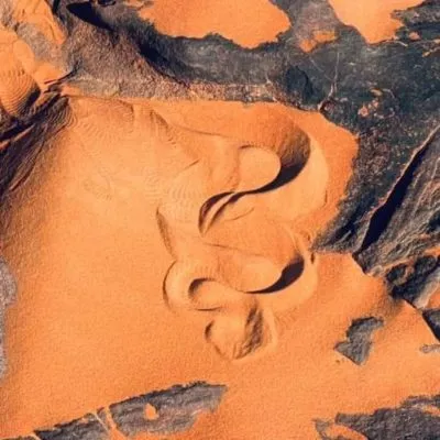 WhatsApp Image 2025-01-29 at 08.29.50