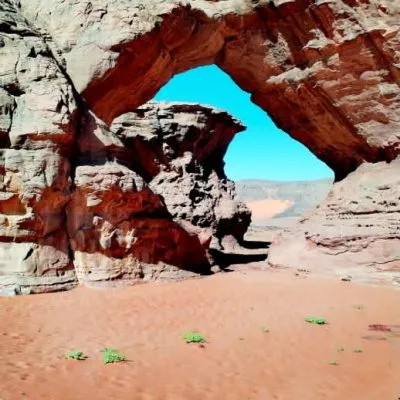 WhatsApp Image 2025-01-29 at 08.29.53 (1)