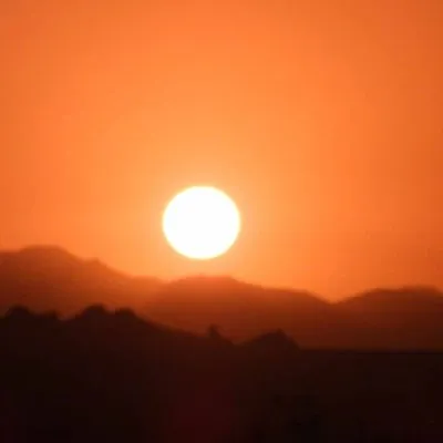 WhatsApp Image 2025-01-29 at 08.30.01 (1)