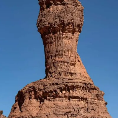 WhatsApp Image 2025-01-29 at 08.30.04 (4)