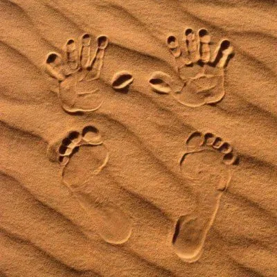 WhatsApp Image 2025-01-29 at 08.30.04