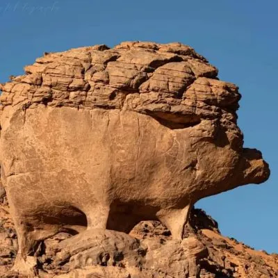 WhatsApp Image 2025-01-29 at 08.30.05 (1)