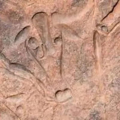 WhatsApp Image 2025-01-29 at 08.30.06 (1)