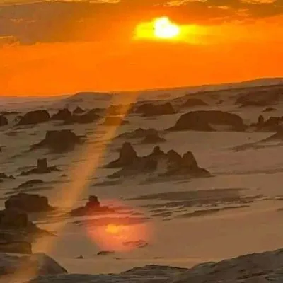 WhatsApp Image 2025-01-29 at 08.30.07