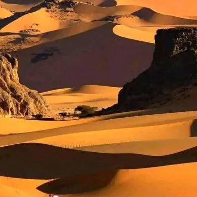 WhatsApp Image 2025-01-29 at 08.30.08 (1)