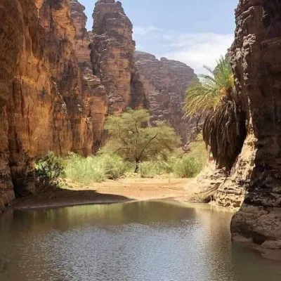 WhatsApp Image 2025-01-29 at 08.30.08 (4)