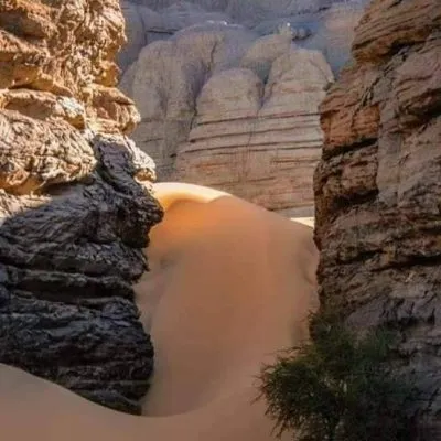 WhatsApp Image 2025-01-29 at 08.30.09 (1)