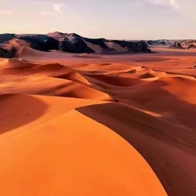 WhatsApp Image 2025-01-29 at 08.30.09 (2)