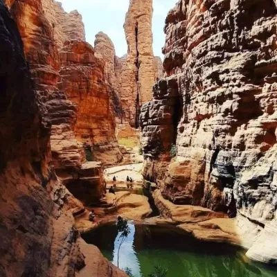 WhatsApp Image 2025-01-29 at 08.30.10 (3)