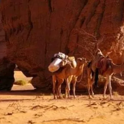 WhatsApp Image 2025-01-29 at 08.30.11